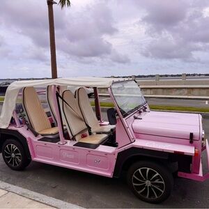 Meet your Posher, Laila